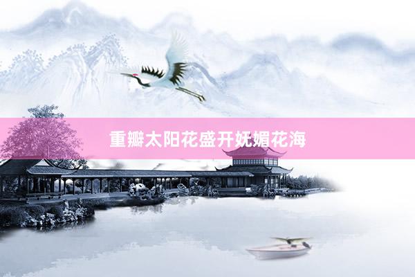 重瓣太阳花盛开妩媚花海