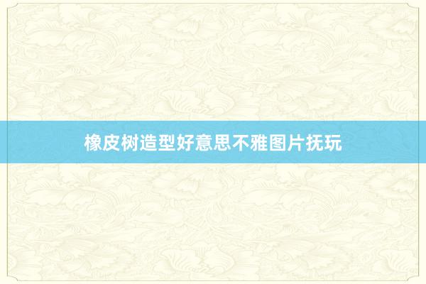 橡皮树造型好意思不雅图片抚玩