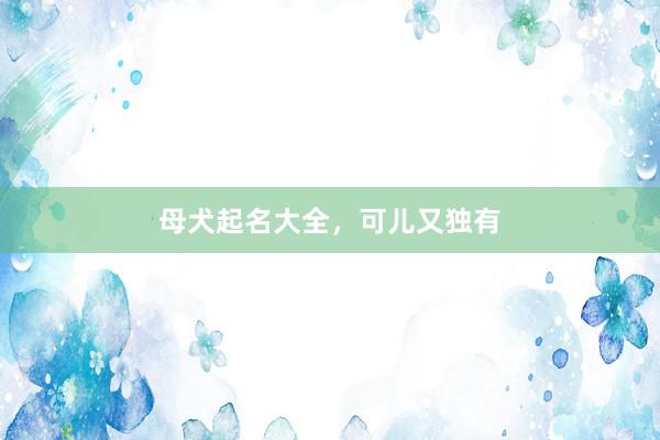 母犬起名大全，可儿又独有
