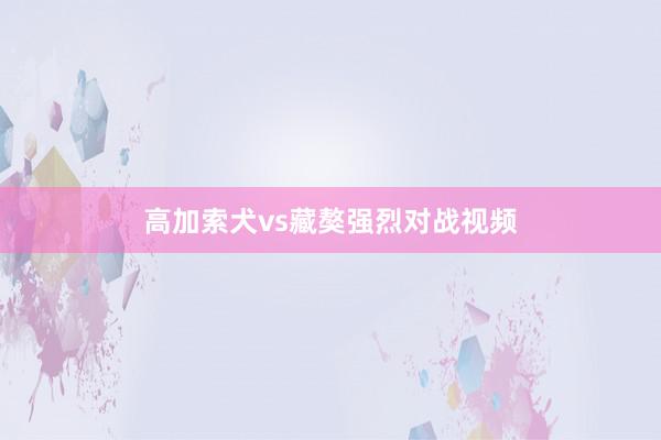 高加索犬vs藏獒强烈对战视频